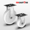 Feste Edelstahlrolle SX100NATF mit einem Polyamidrad. Tragfähigkeit 90 kg / 100mm / gleitend